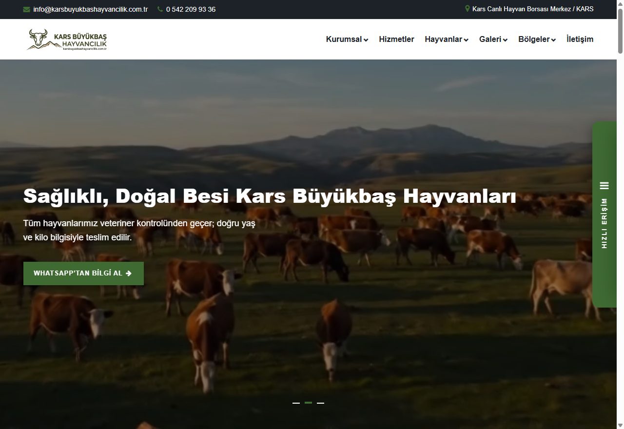 Kars Büyükbaş Hayvancılık